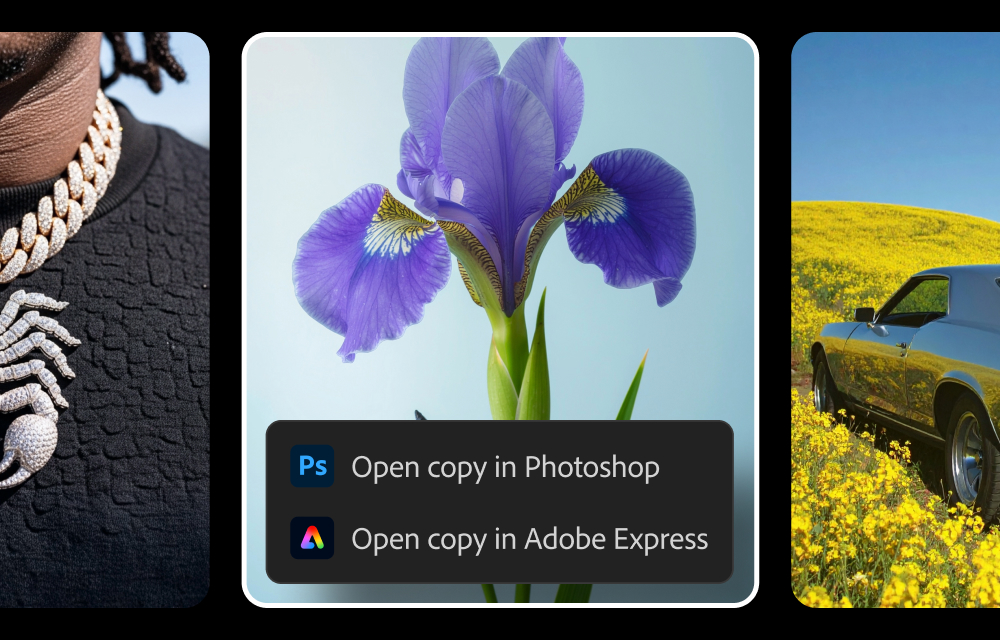 screenshot of Adobe Firefly